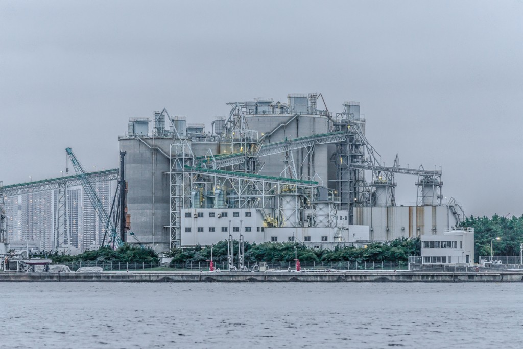 あなたの写真への愛、羽ばたかせてみませんか