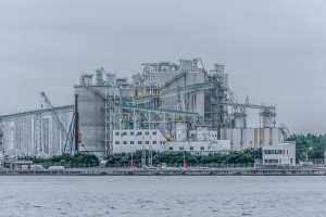 あなたの写真への愛、羽ばたかせてみませんか