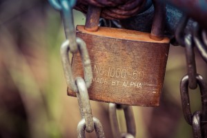 【WP備忘録】登録アクション後にホワイトアウトしちゃう！