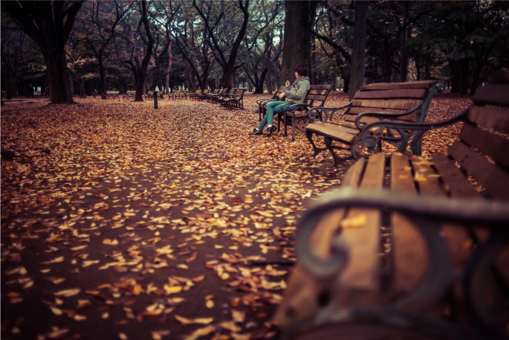 先日、代々木公園に戻ってきました