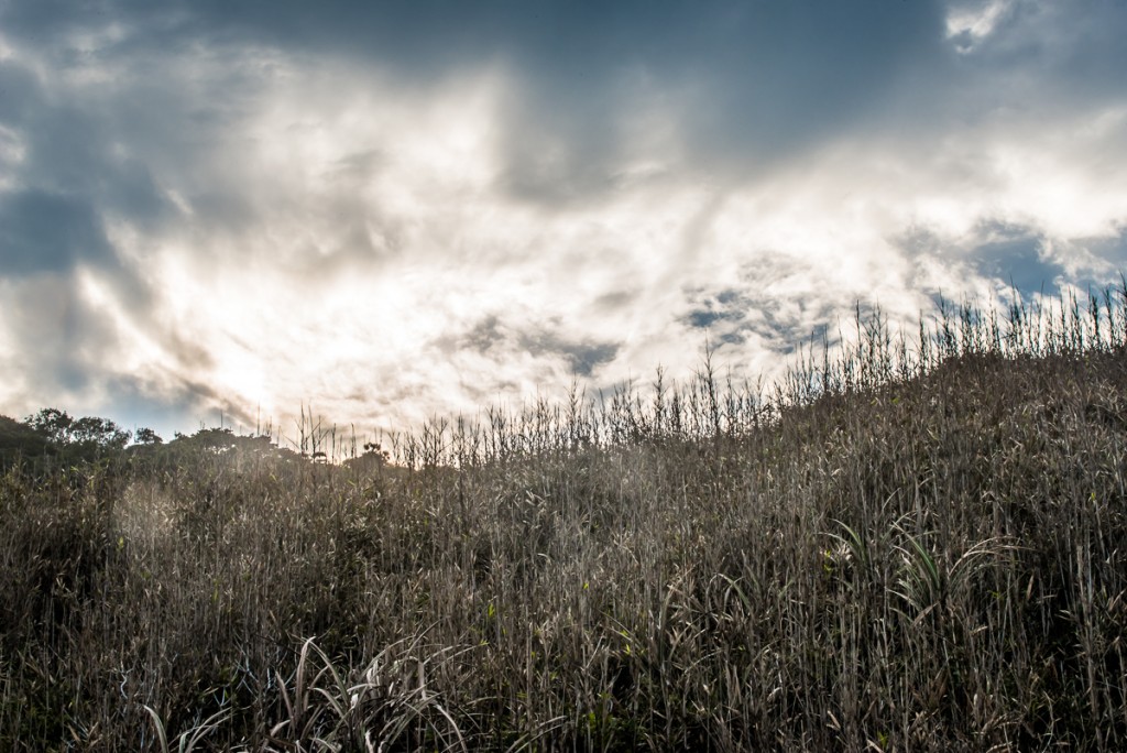 本日都心行脚ございます＆ご予約スタートも