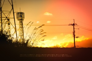 めちゃんこ広いススキの原っぱでズ・バ・バ・バ・バアァァァァンッッ!!!!!!!! 芦ノ湖、箱根の旅