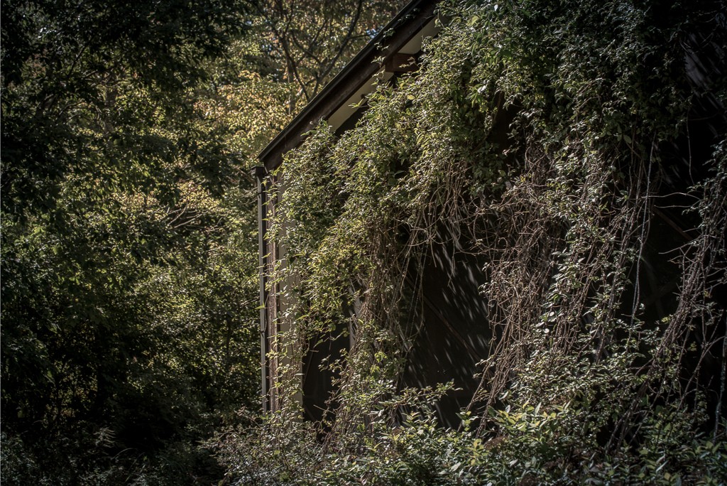 師走、今年のうちに俺はLightroomプリセットマスターになってやる！の巻