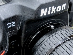 ちゃんと撮ることに軸をおいて考えた結果の写ルンです大会、迫って参りましたよ