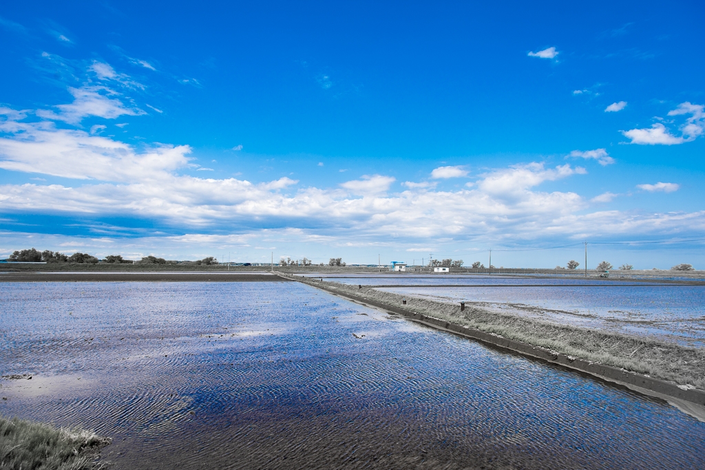 WordPress、写真の画質レベルをコントロールできちゃうよ