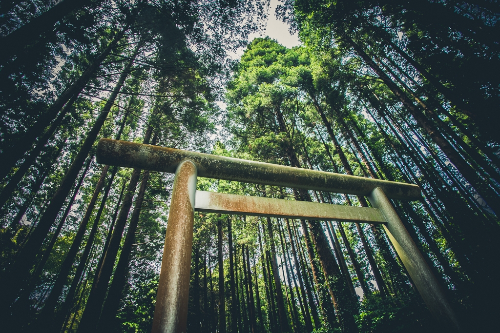 神社に立ち寄る率が高い撮影会の千葉遠征、第一ラウンド。