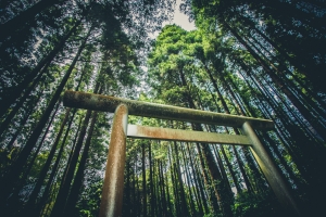 神社に立ち寄る率が高い撮影会の千葉遠征、第一ラウンド。