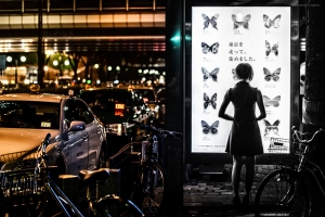 寒い季節がはじまる、エレジー養分を補給。