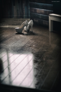 すたじお金魚が持つ独特な雰囲気を追い風に渾身の一枚を狙う