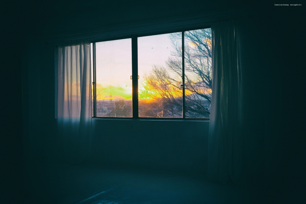 冬の妙に胸を締め付ける青々とした空が云々ってのはイエモンがすでに歌にしちゃったので。