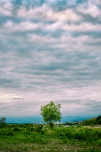 遅まきながらも 合同大撮 無事に開催終了しました！ワイワイ