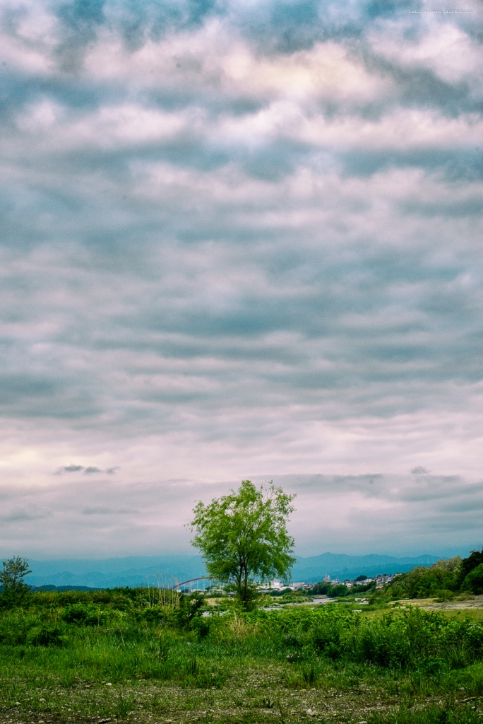 遅まきながらも 合同大撮 無事に開催終了しました！ワイワイ