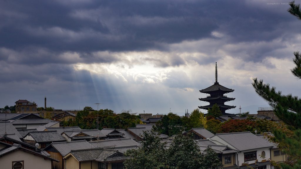 エレジーと京都遠征、見どころ撮りどころ