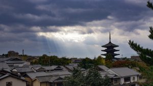 エレジーと京都遠征、見どころ撮りどころ