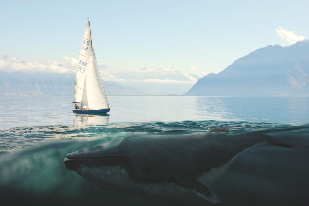 バージョンアップは嬉しい！