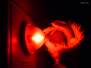 シンプルな世界と、尽きない可能性 RICO STUDIO Hatagaya