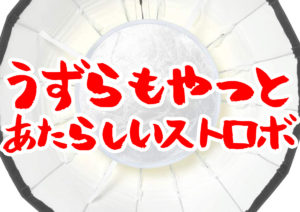深くて丸くて白いヤツ。